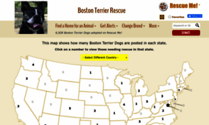 Bostonterrier.rescueme.org thumbnail