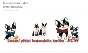 Bostonterrierclub.cz thumbnail