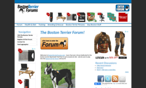 Bostonterrierforums.com thumbnail