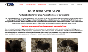 Bostonterrierpuppyforsale.net thumbnail