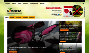 Botanichka.ru thumbnail