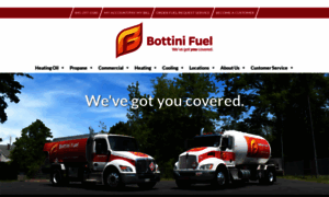 Bottinifuel.com thumbnail