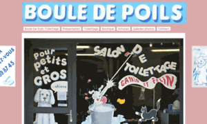 Bouledepoilstoilettage.fr thumbnail
