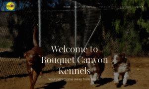 Bouquetcanyonkennels.com thumbnail