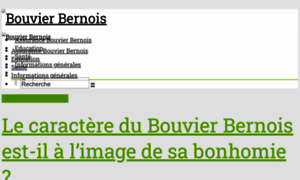 Bouvier-bernois.com thumbnail