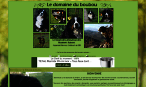 Bouvierbernois.forumactif.com thumbnail