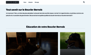 Bouviers-bernois.fr thumbnail