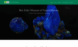 Boxeldermuseum.org thumbnail