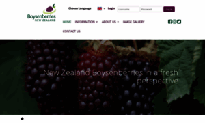 Boysenberry.co.nz thumbnail