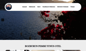 Bozburunpembeyunus.com thumbnail