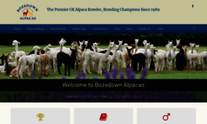 Bozedown-alpacas.co.uk thumbnail