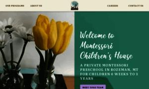 Bozemanchildrenshouse.com thumbnail