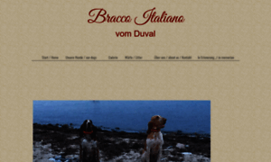 Bracco-italiano-vom-duval.de thumbnail