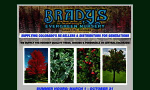 Bradysevergreennursery.com thumbnail
