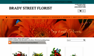 Bradystreetflorist.com thumbnail