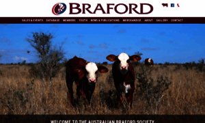 Braford.org.au thumbnail