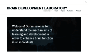 Braindevelopmentlaboratory.com thumbnail