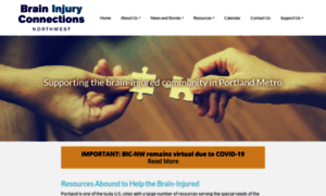 Braininjuryconnectionsnw.org thumbnail