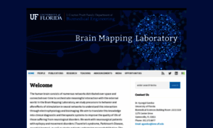 Brainmappinglab.org thumbnail
