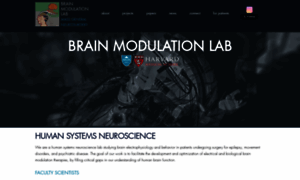 Brainmodulationlab.org thumbnail