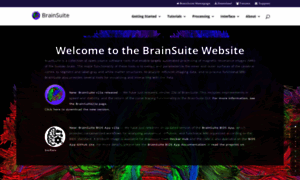 Brainsuite.org thumbnail