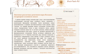 Braintools.ru thumbnail