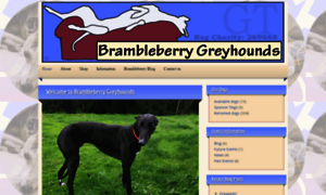Brambleberry-greyhounds.co.uk thumbnail