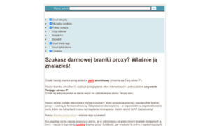 Bramka.proxy.net.pl thumbnail