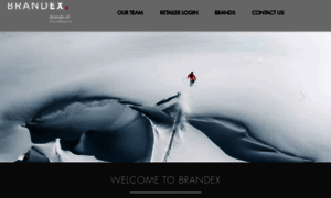Brandex.co.nz thumbnail