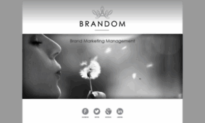 Brandom.co.za thumbnail