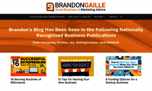 Brandongaille.com thumbnail