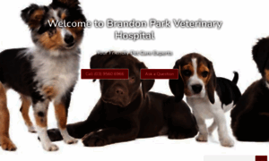 Brandonparkvet.com.au thumbnail