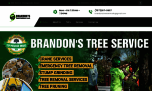 Brandonstreeservice.com thumbnail