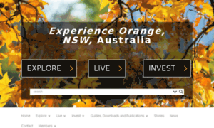 Brandorange.com.au thumbnail