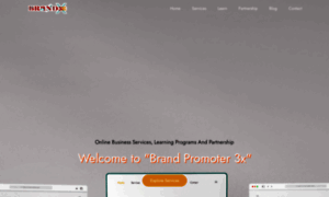 Brandpromoter3x.com thumbnail