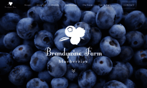 Brandywineblueberryfarm.com thumbnail