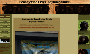Brandywinecreekboykins.com thumbnail