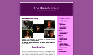 Brasch-group.com thumbnail