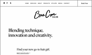 Brecynsalon.com thumbnail