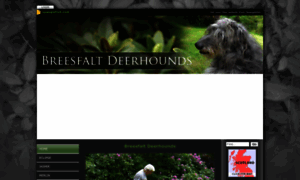 Breesfaltdeerhounds.co.uk thumbnail