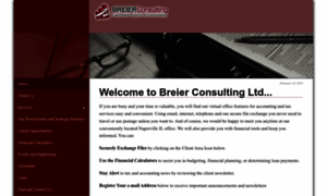 Breierconsulting.net thumbnail
