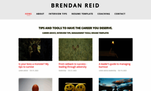 Brendan-reid.squarespace.com thumbnail