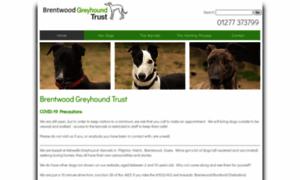 Brentwood.retiredgreyhounds.org.uk thumbnail