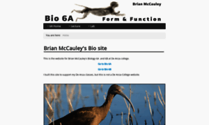 Brianmccauley.net thumbnail