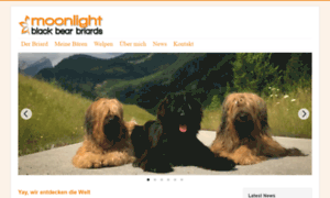 Briard.cc thumbnail