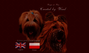 Briard.info.pl thumbnail