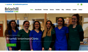 Briarhillvets.ie thumbnail