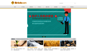Brickcom.cn thumbnail
