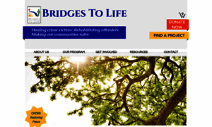 Bridgestolife.org thumbnail