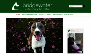 Bridgewaterveterinaryhospital.com thumbnail